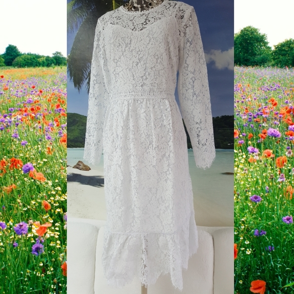 Elegant White Lace Midi Dress - Picture 8 of 12